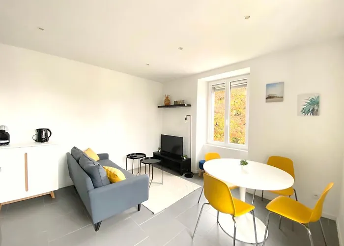 Magnifique T2 40M2 Lumineux, Moderne Et Renove Avec Fibre
